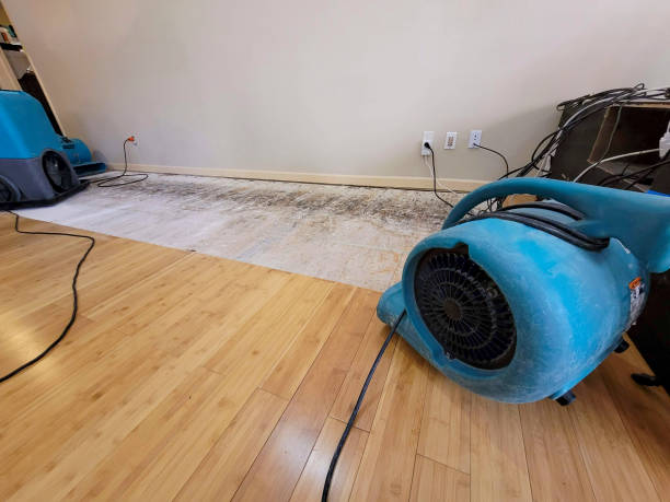 Professional Flood Damage Cleanup technician working in Cypress, TX